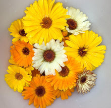 Load image into Gallery viewer, Fancy Mix Calendula Seeds - Plant and Heal