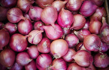 Load image into Gallery viewer, Red Grano Onion Heirloom Seeds