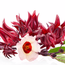Cargar imagen en el visor de la galería, Hibiscus Roselle Trio (All Three Varieties)