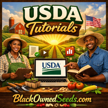 Load image into Gallery viewer, The Farm Book: Farm Numbers and Farm Records