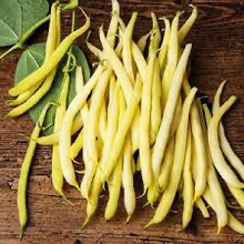 Load image into Gallery viewer, Top Notch Golden Wax Beans Seeds - Plant and Heal