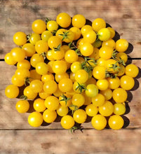 Cargar imagen en el visor de la galería, Gold Nugget Tomato Seeds - Plant and Heal