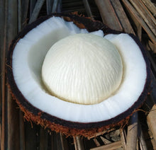 Load image into Gallery viewer, Sprouted Coconut - Plant and Heal
