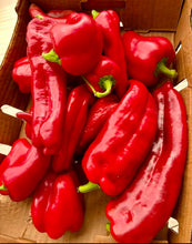 Cargar imagen en el visor de la galería, Semillas tradicionales orgánicas de pimiento rojo Marconi