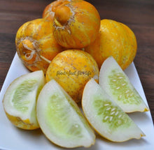 Load image into Gallery viewer, Lemon Cucumber Heirloom Cucumber Seeds - Plant and Heal