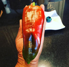 Cargar imagen en el visor de la galería, Semillas tradicionales orgánicas de pimiento rojo Marconi
