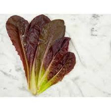 Load image into Gallery viewer, Red Romaine Heirloom Lettuce Seeds - Plant and Heal