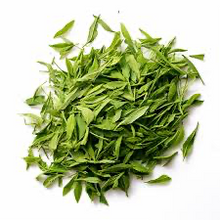 Load image into Gallery viewer, Manglier groundswl bush leaves spread out on a white background