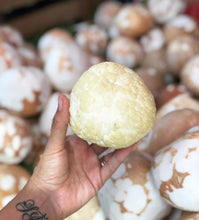 Load image into Gallery viewer, Sprouted Coconut - Plant and Heal