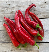 Load image into Gallery viewer, NuMex Joe E. Parker Hot (Medium) Pepper Seeds - Plant and Heal