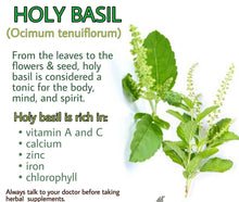 Load image into Gallery viewer, Tulsi Green Leaf Holy Basil Heirloom Seeds