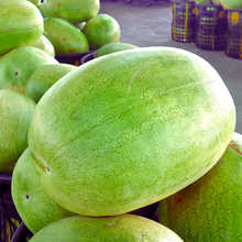 Load image into Gallery viewer, Desert King Watermelon