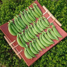 Cargar imagen en el visor de la galería, Sugar Ann Snap Peas Seeds - Plant and Heal