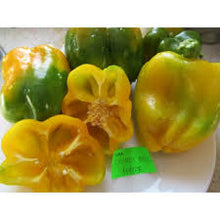 Load image into Gallery viewer, Sweet Canary Yellow Bell Pepper Seeds - Plant and Heal