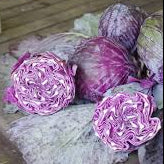 Cargar imagen en el visor de la galería, Purple and white striped cabbage heads arranged on a rustic wooden table.