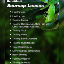 Cargar imagen en el visor de la galería, Facts about soursop leaves listed on a banner