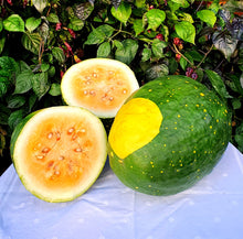 Load image into Gallery viewer, Moon and Stars Yellow Watermelon Seeds - Plant and Heal