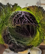 Cargar imagen en el visor de la galería, Purple Savoy Cabbage Seeds - Plant and Heal
