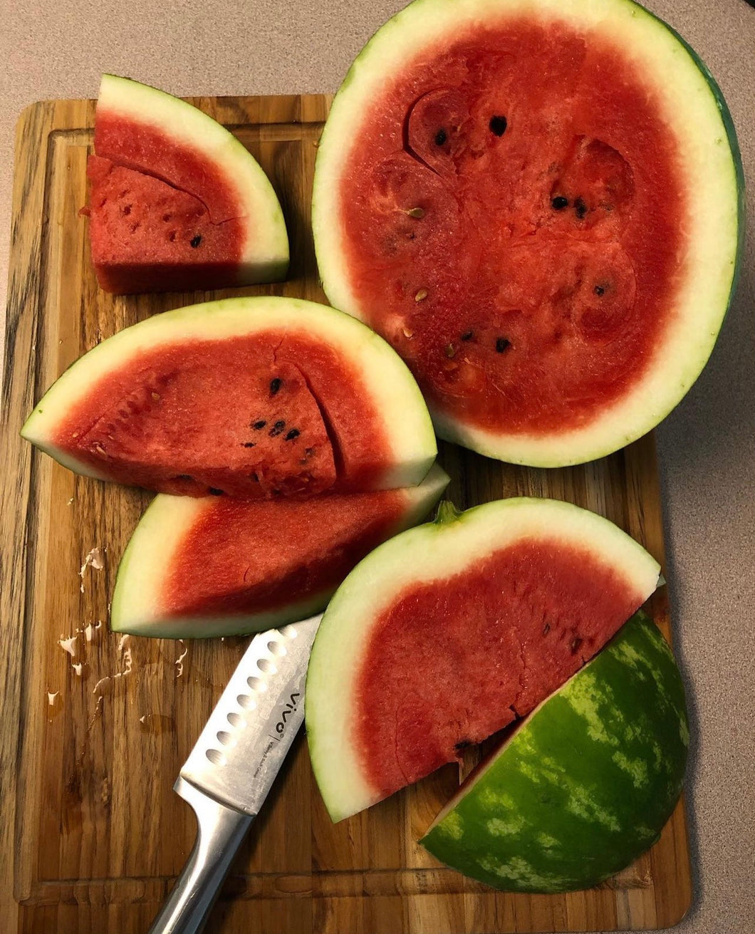 Cal Sweet Bush AAS Watermelon Seeds