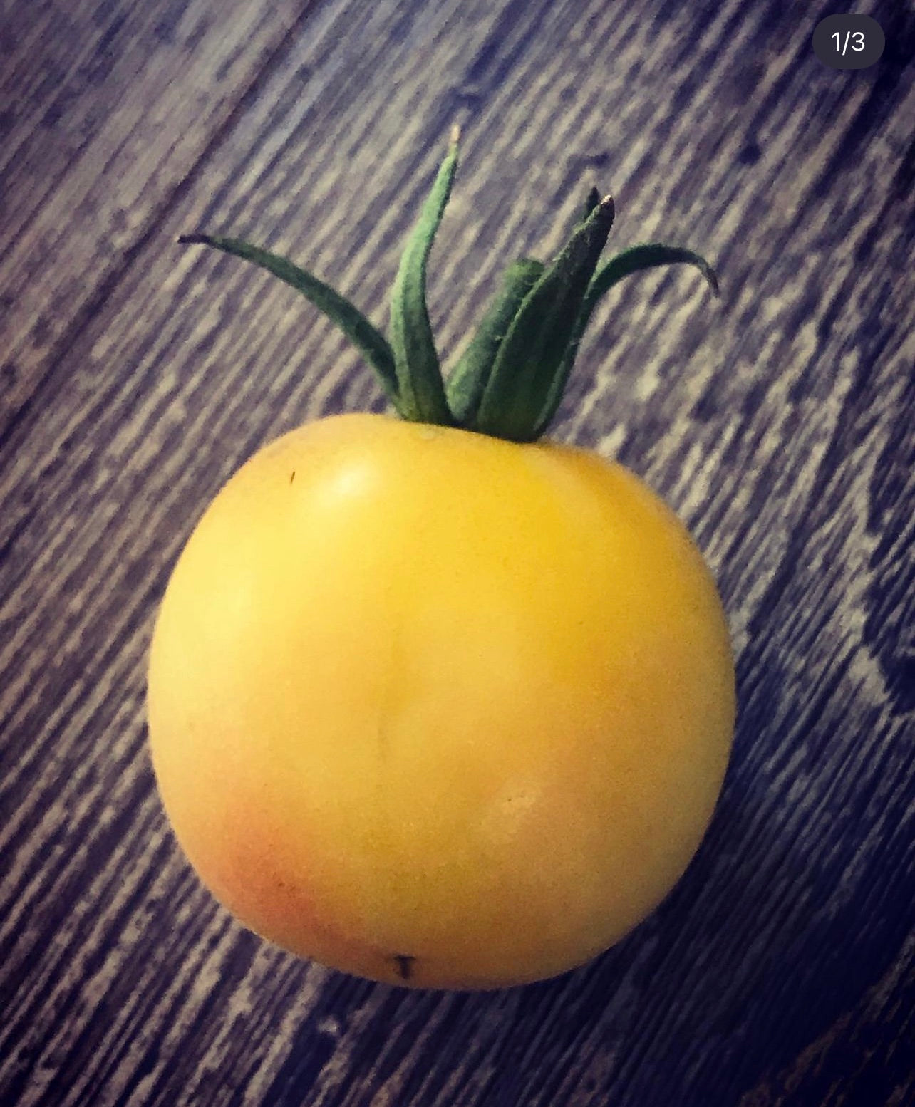 garden peach tomato seeds Garden Peach Tomato Seeds