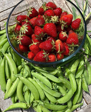 Load image into Gallery viewer, Sugar Snap Peas Seeds - Plant and Heal