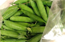 Cargar imagen en el visor de la galería, Premium Pea Heirloom Seeds - Plant and Heal