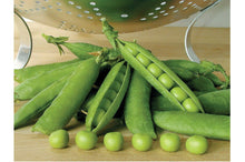 Cargar imagen en el visor de la galería, Premium Pea Heirloom Seeds - Plant and Heal