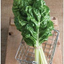 Load image into Gallery viewer, Fordhook Giant Swiss Chard Seeds - Plant and Heal