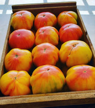 Load image into Gallery viewer, Striped German Tomato  (Organic) Heirloom Seeds - Plant and Heal