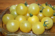 Load image into Gallery viewer, White Cherry (Organic) Tomato Heirloom Seeds - Plant and Heal