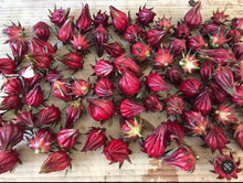 Cargar imagen en el visor de la galería, Hibiscus Roselle Sabdiriffa Medicinal Heirloom Seeds - Plant and Heal