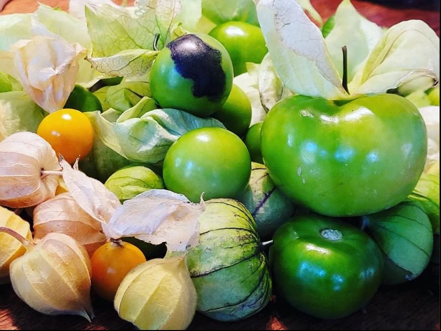 plant tomatillo seeds De Milpa Organic Tomatillo Seeds