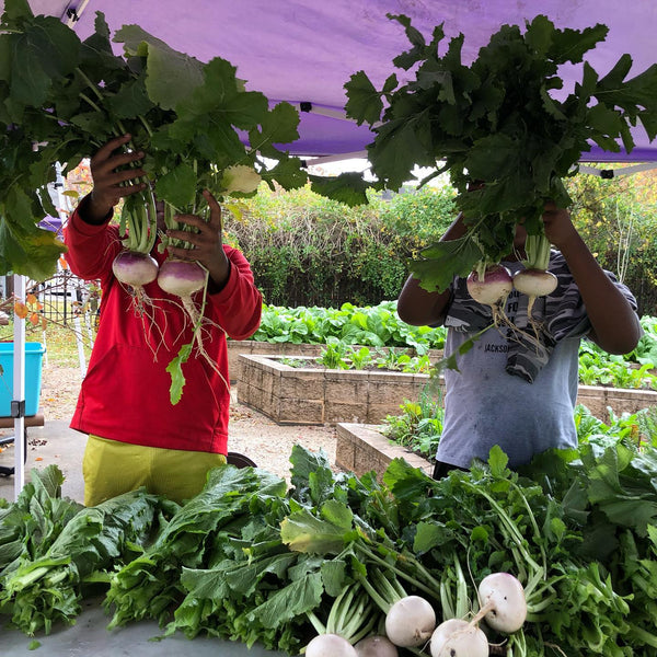 Cultivating Resilience: Gardening as a Path to Sovereignty in 2025