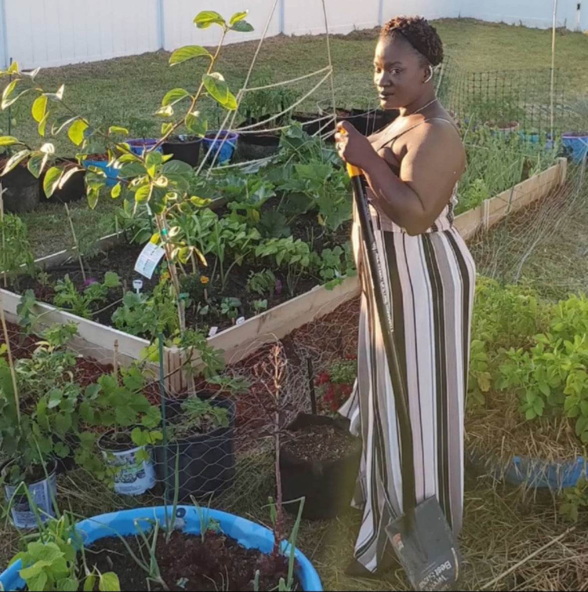 A woman tending a leafy vine beside raised garden beds.