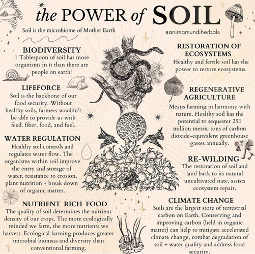 The POWER of Soil