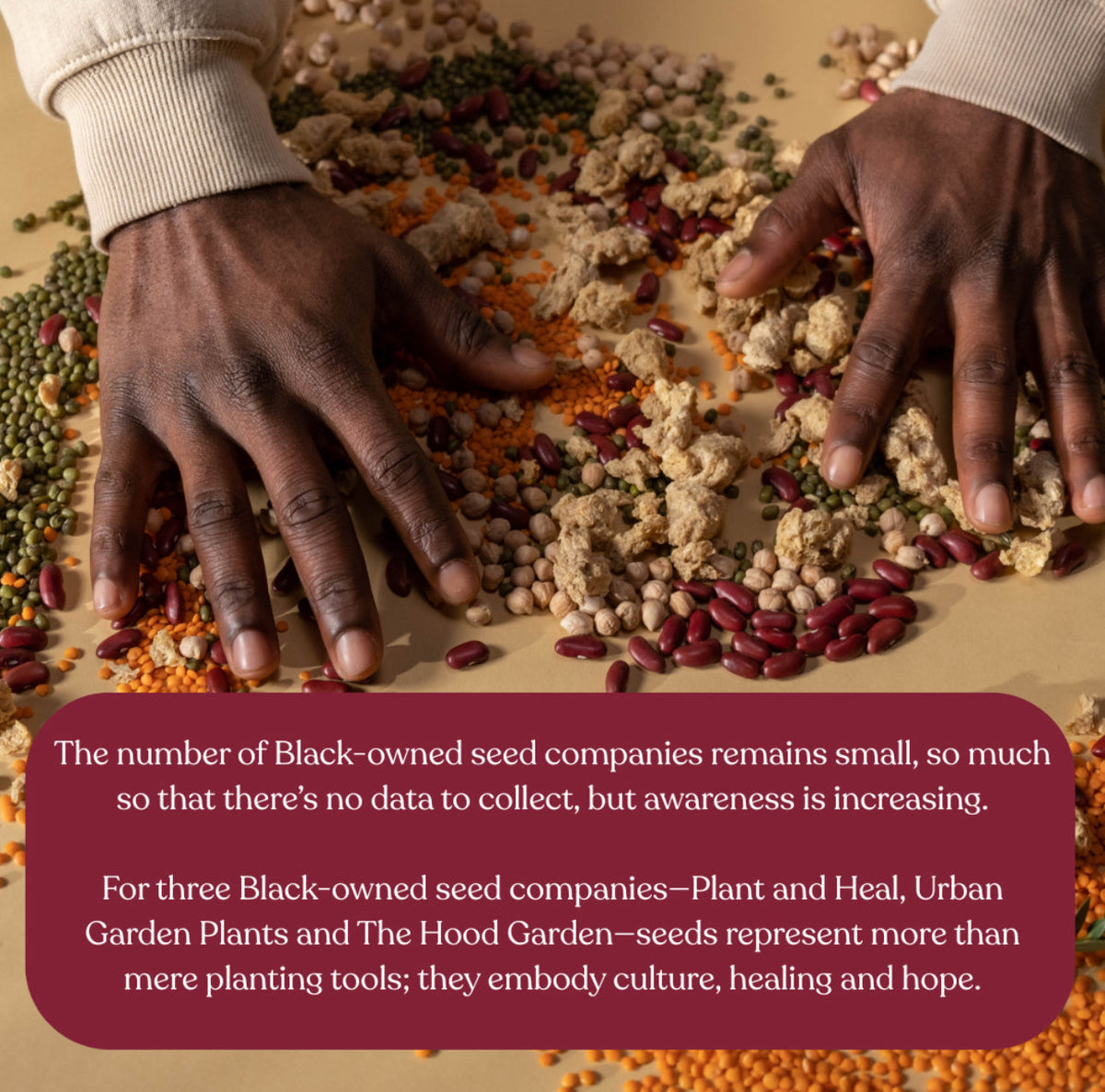 Hands over assorted seeds and beans. Text highlights increasing awareness of Black-owned seed companies, naming Plant and Heal, Urban Garden Plants, and The Hood Garden, and describes seeds as symbols of culture, healing, and hope.