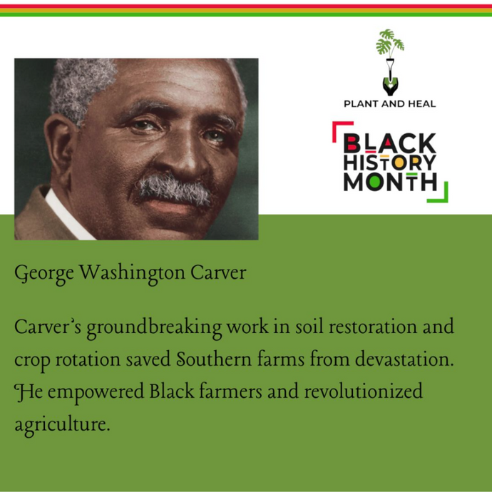 George Washington Carver: The Plant Whisperer Who Revolutionized Agriculture and Empowered Communities