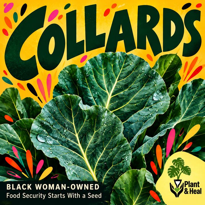 Plant & Heal “Collards” graphic with broad green collard leaves; “Black Woman-Owned” and “Food Security Starts With a Seed”.