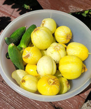 Load image into Gallery viewer, Lemon Cucumber Heirloom Cucumber Seeds
