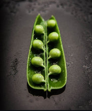 Load image into Gallery viewer, Thomas Laxton Pea Seeds - Plant and Heal
