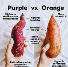 Load image into Gallery viewer, All White Mix Combo* Sweet Potato - 6 Slips (CERTIFIED USDA ORGANIC)
