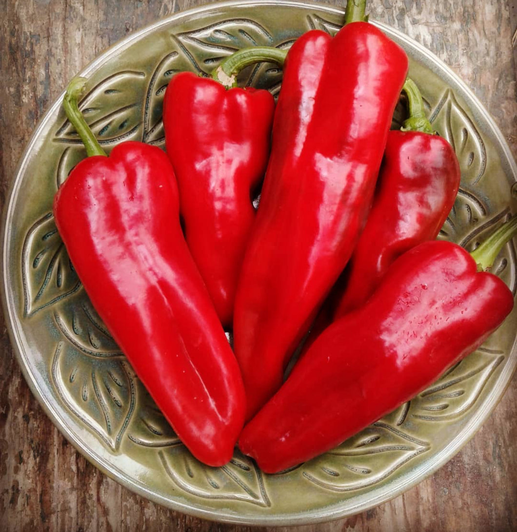 Marconi Red Pepper Organic Heirloom Seeds