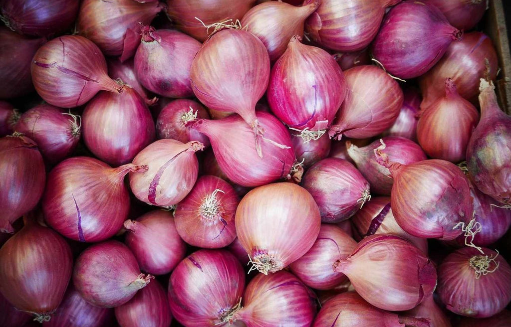 A pile of red onions with glossy pink-purple skins.
