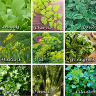 Edible Flower Mix Seeds - Plant and Heal