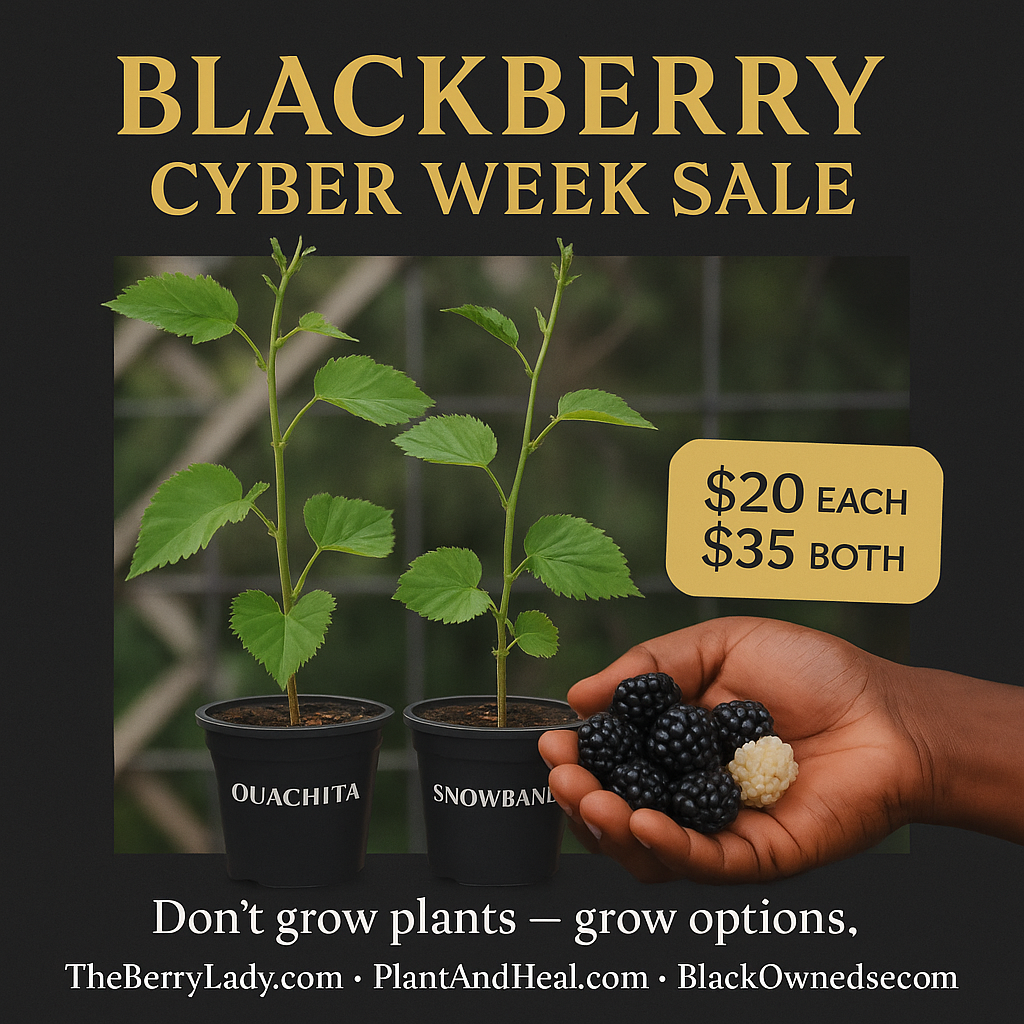 Advertisement for blackberry plants with a hand holding blackberries and promotional text on a dark background.
