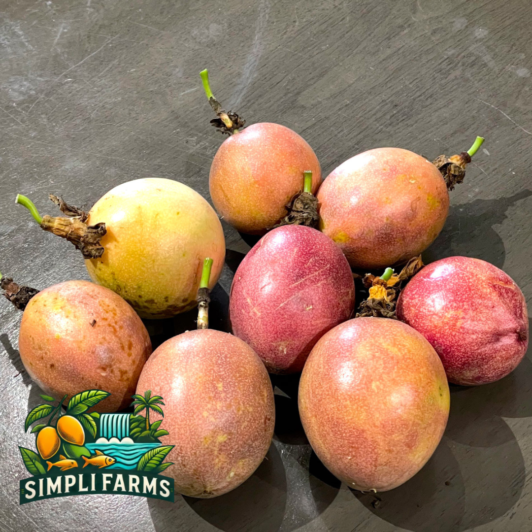 Pink, orange, and yellow passion fruits arranged on a dark surface.
