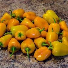 Small yellow and orange Mini Yellow Sweet bell peppers piled on a countertop — from BlackOwnedSeeds.com.