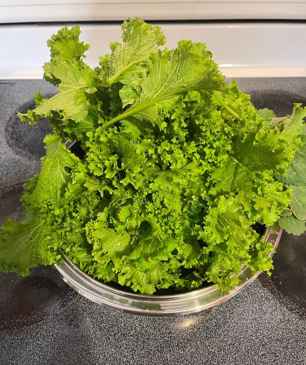 Harvested curly mustard greens in a metal bowl.