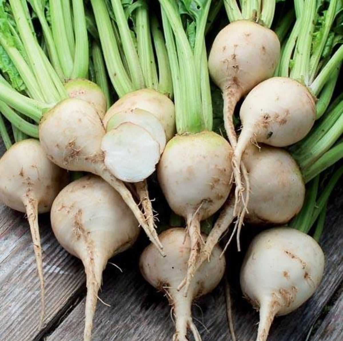 White Albino beets with pale round roots and green stems, including one sliced root — from BlackOwnedSeeds.com.