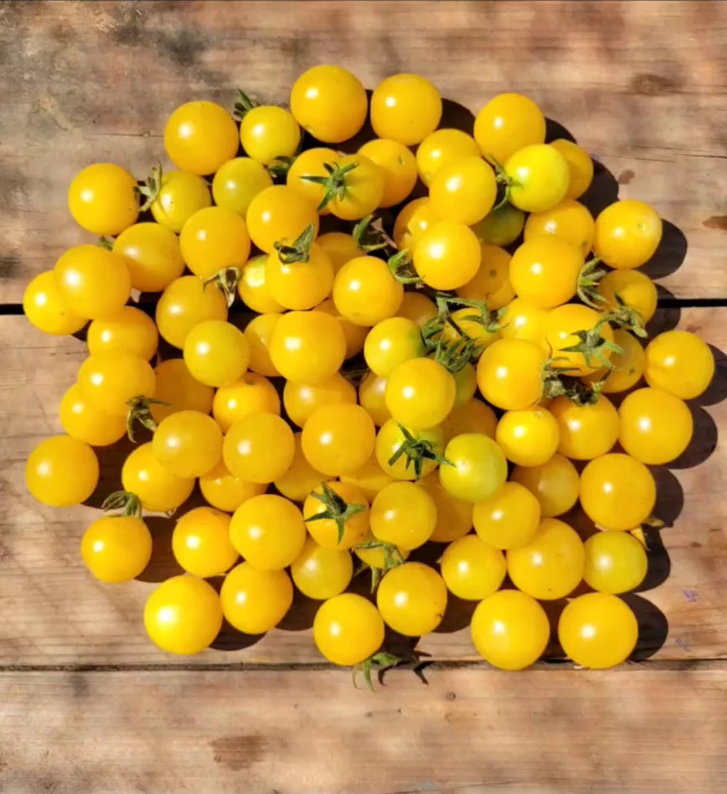 Small round Gold Nugget tomatoes piled on a wooden surface — from BlackOwnedSeeds.com.